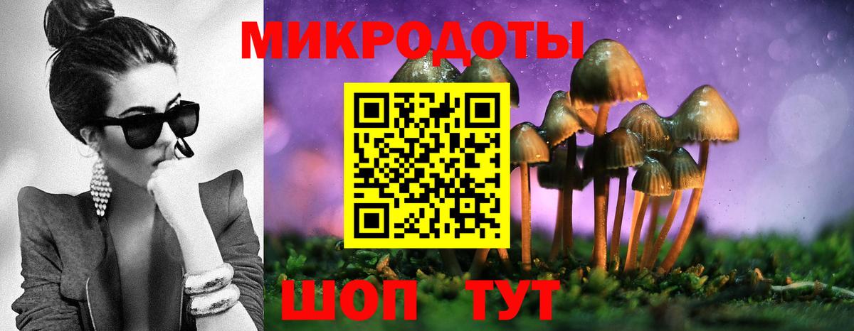 Учалы  где можно купить   Вход с VPN  Галлюциногенные грибы Psilocybine cubensis 